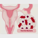 🌸URO Probióticos – Salud Urinaria y Bienestar Femenino🌸